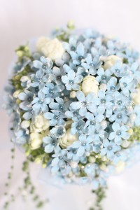 サムシングブルー　ブルスター　ウェディングブーケ