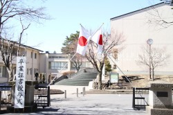 卒業式、卒園式、イベントフラワー、桜アレンジ