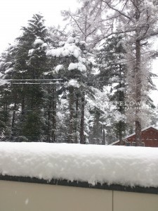 軽井沢春の突然の大雪