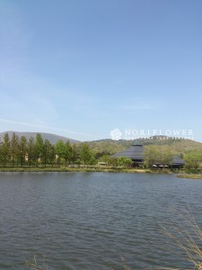 軽井沢大賀ホール コンサート花 イベント花