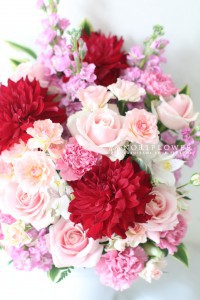 開店花　イベントフラワー　お祝い花