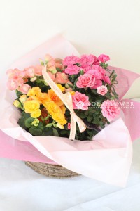 母の日よせ鉢籠パステルミックス　母の日ギフト　
