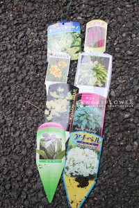 軽井沢ガーデニング　軽井沢植栽