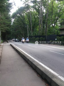 天皇陛下　皇后陛下